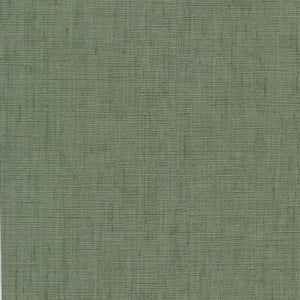 TROPICAL TEXTURE