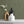 TROPICAL TEXTURE